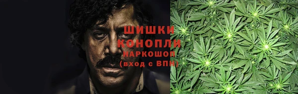 ПСИЛОЦИБИНОВЫЕ ГРИБЫ Абдулино